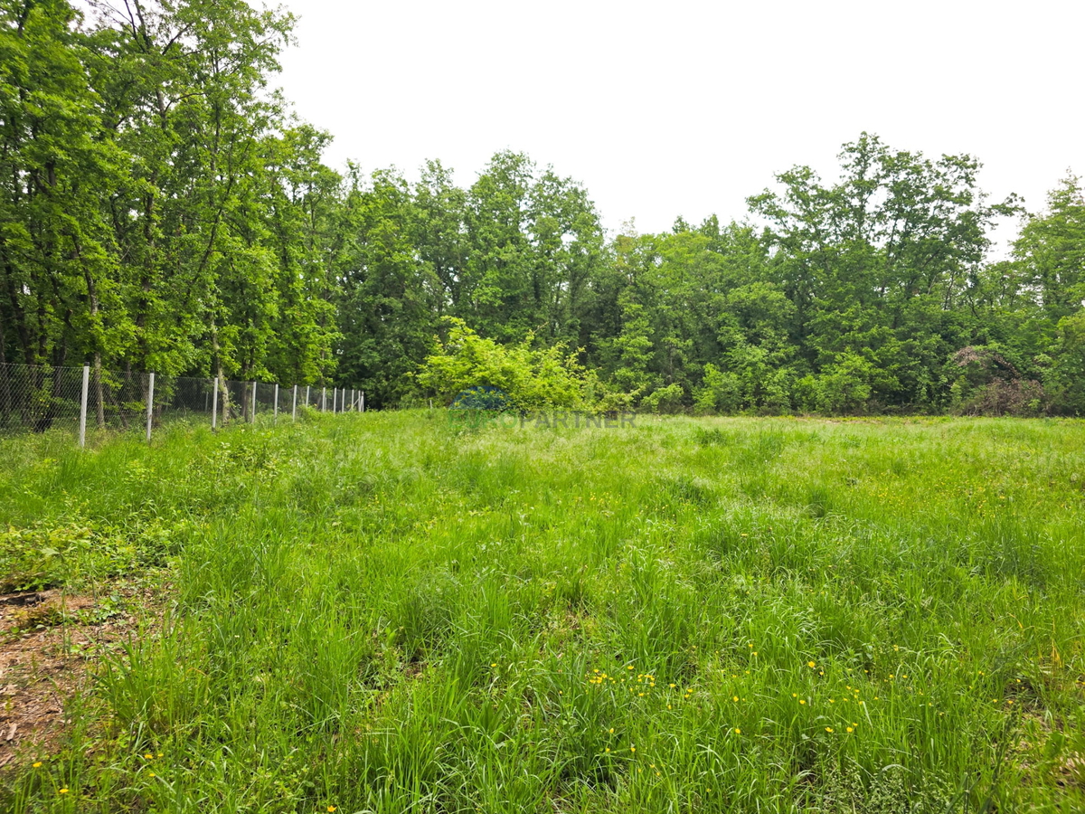 Terreno con permesso di costruire, Verteneglio, Istria