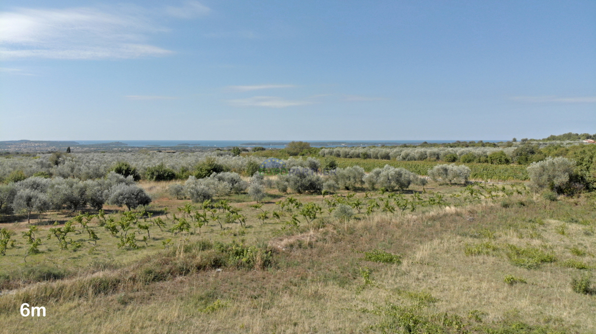Terreno con progetto e concessione edilizia