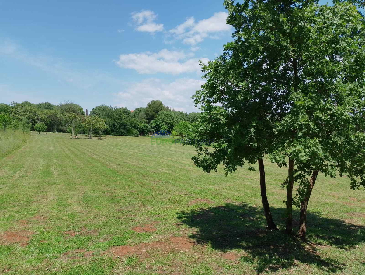 Istria, terreno agricolo vicino al centro di Rovigno