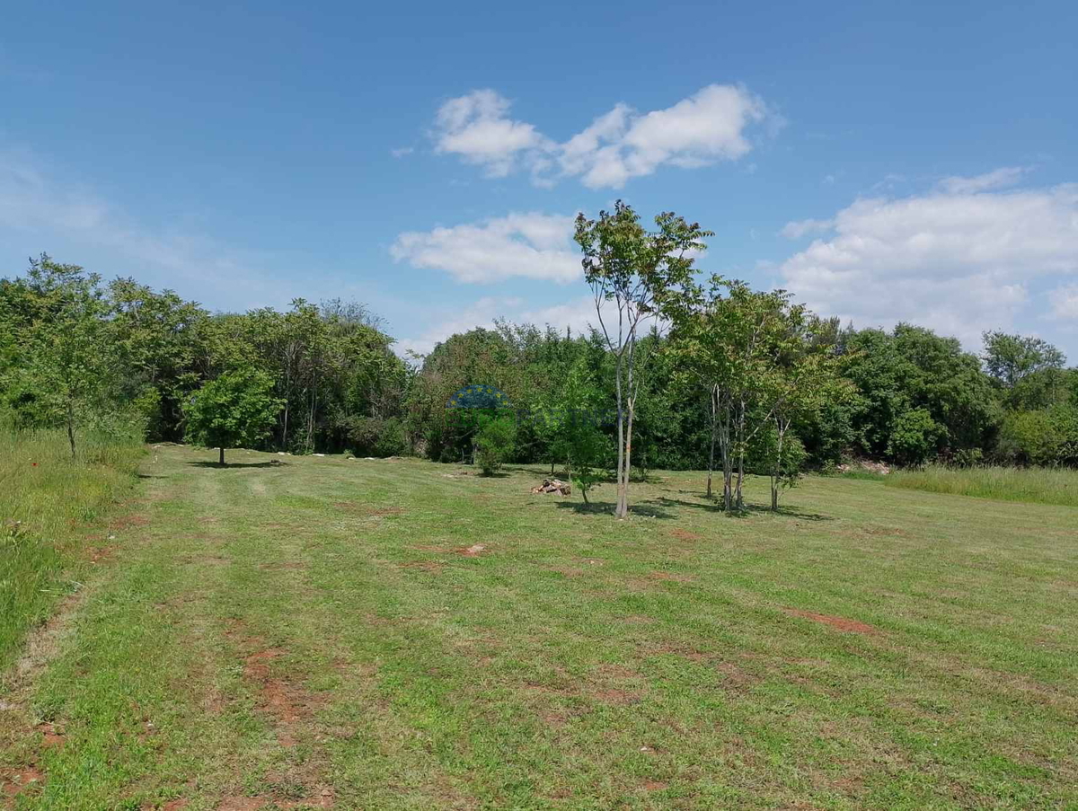 Istria, terreno agricolo vicino al centro di Rovigno