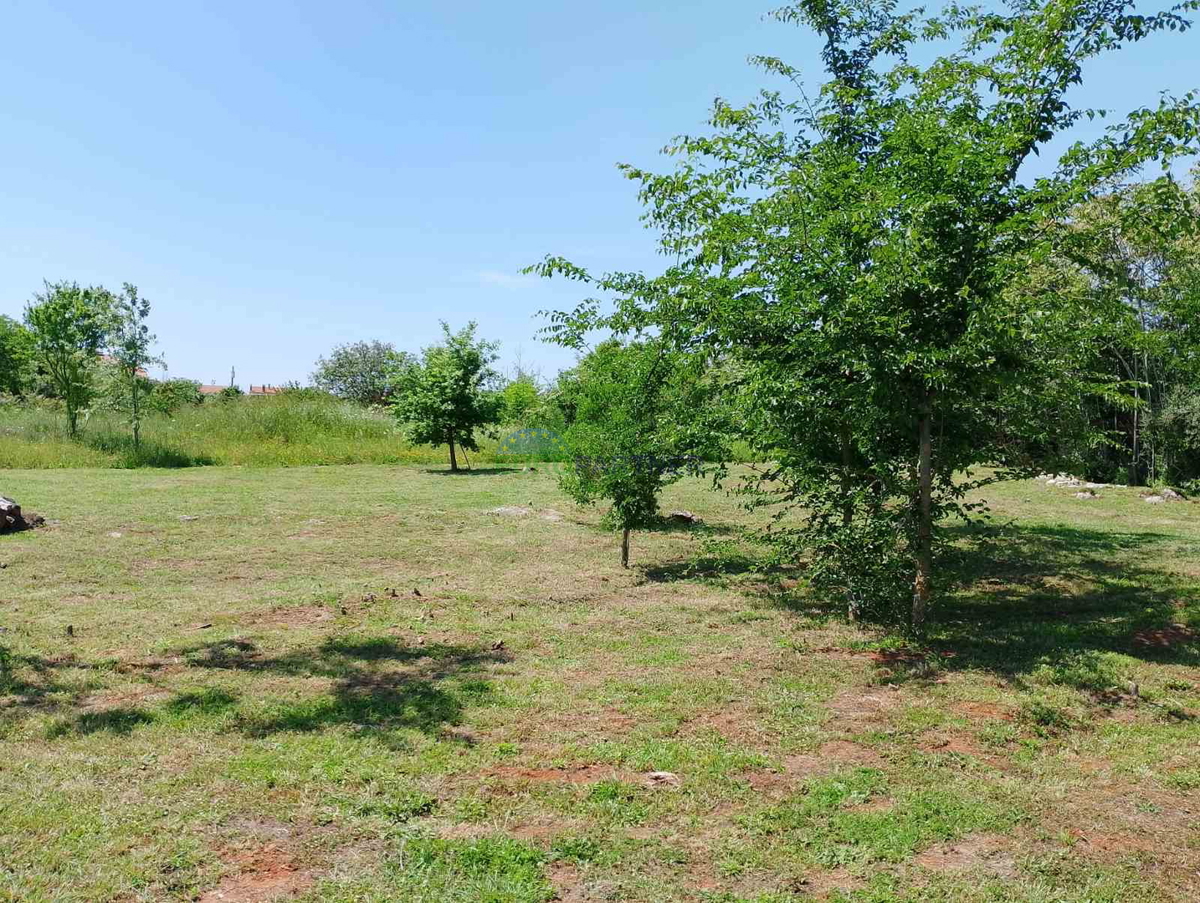 Istria, terreno agricolo vicino al centro di Rovigno