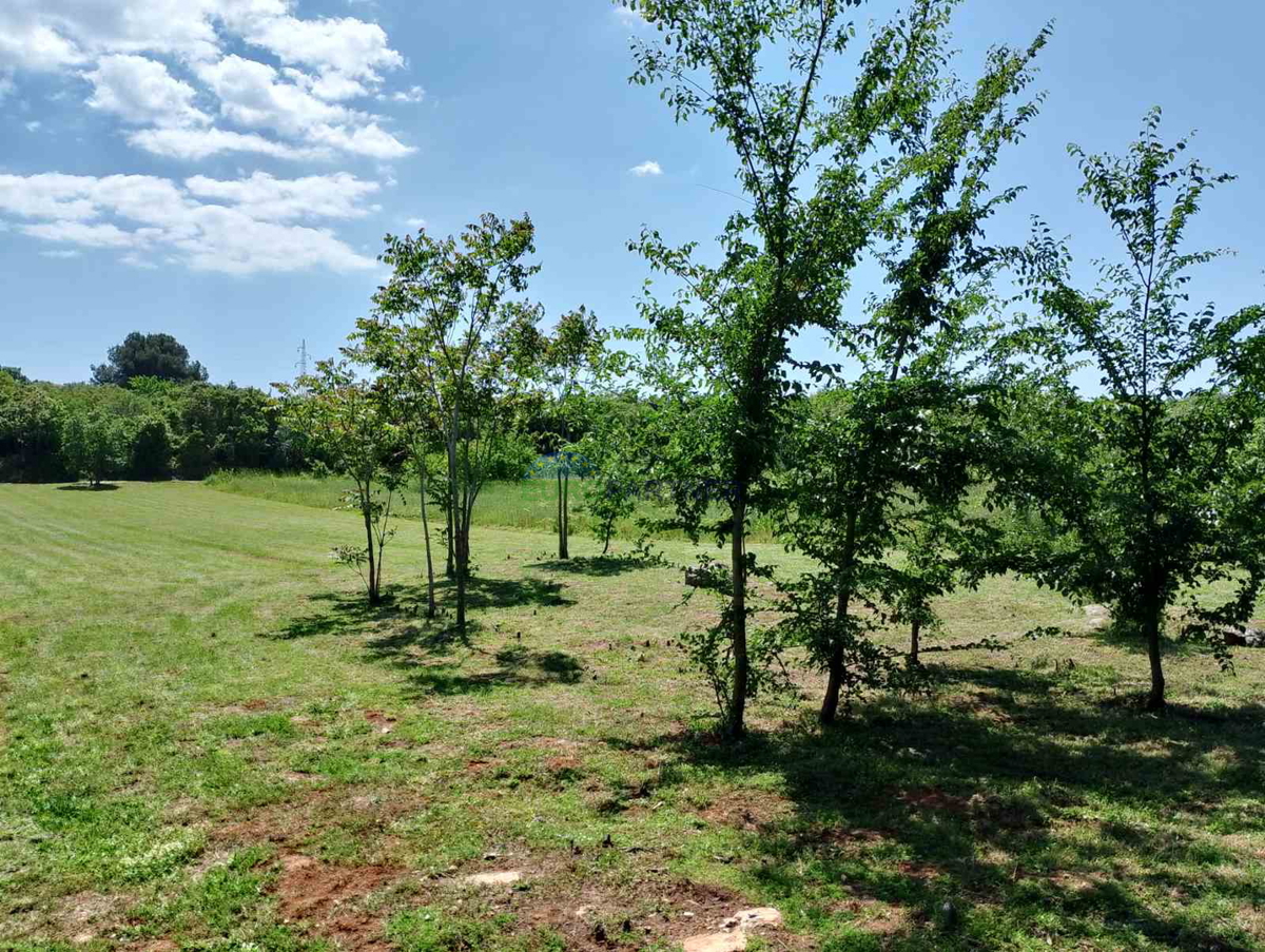 Istria, terreno agricolo vicino al centro di Rovigno