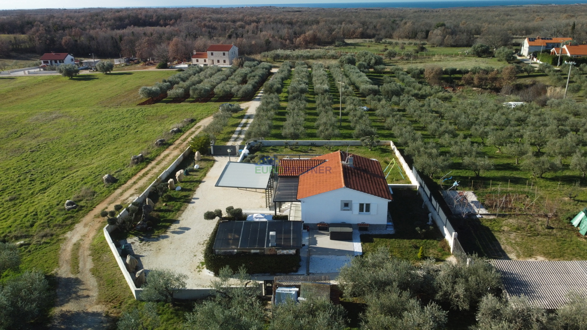 Istria, Visignano, villa con un bellissimo giardino