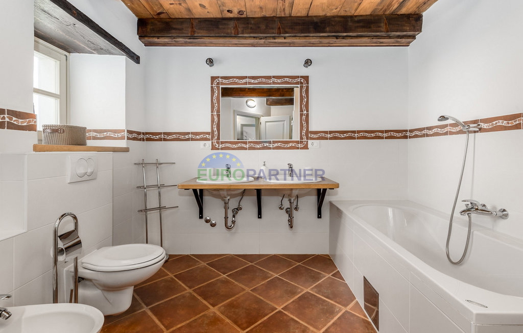 Pietra bellissima ai margini del villaggio, Tinjan