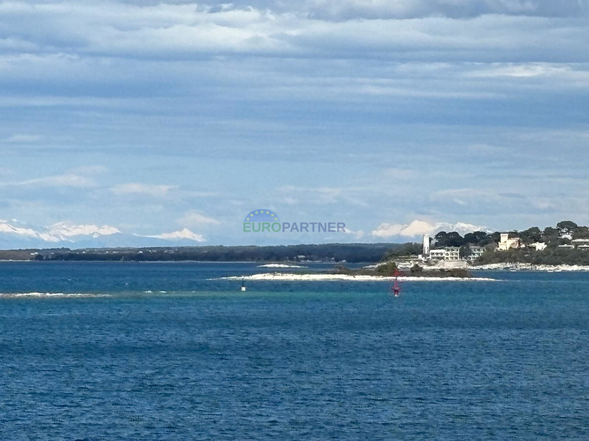 Bellissima villa in pietra con piscina, Višnjan