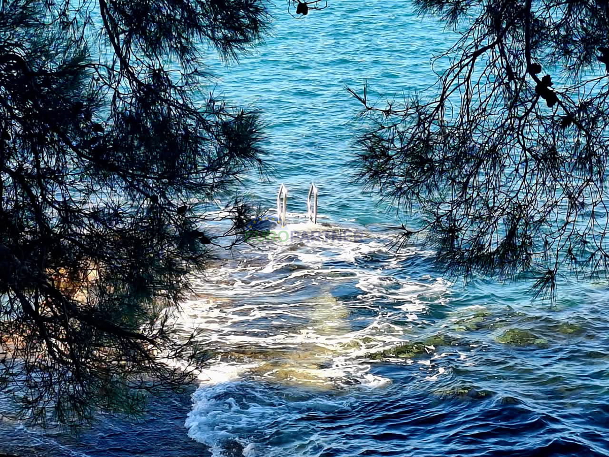 Bellissima villa in pietra con piscina, Višnjan