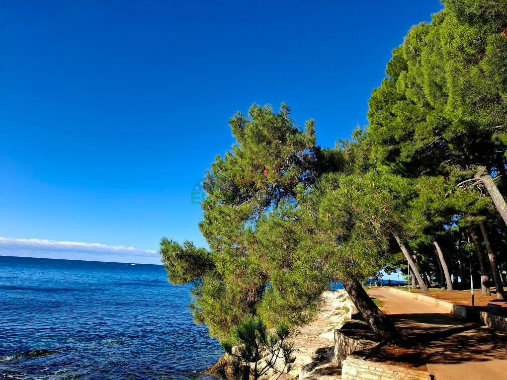 Bellissima villa in pietra con piscina, Višnjan