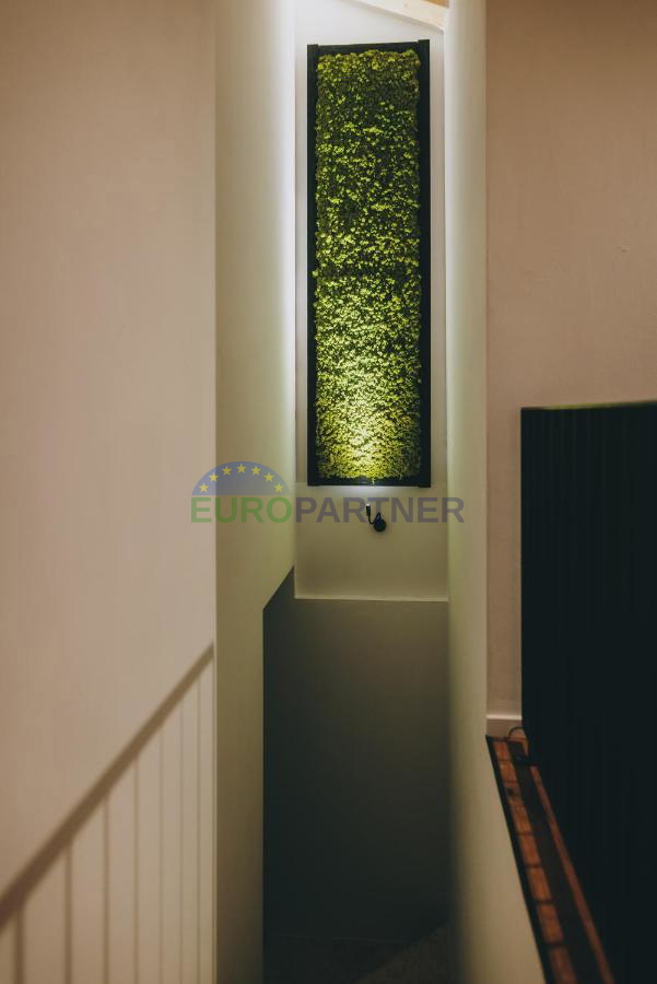 Una bella casa con giardino nel cuore dell&apos;Istria, vicino a Tinjan