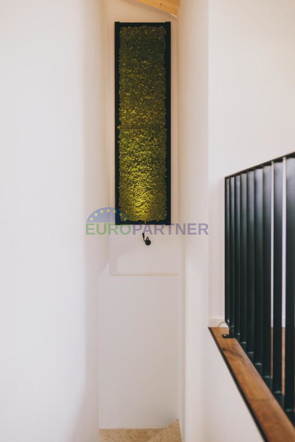 Una bella casa con giardino nel cuore dell&apos;Istria, vicino a Tinjan