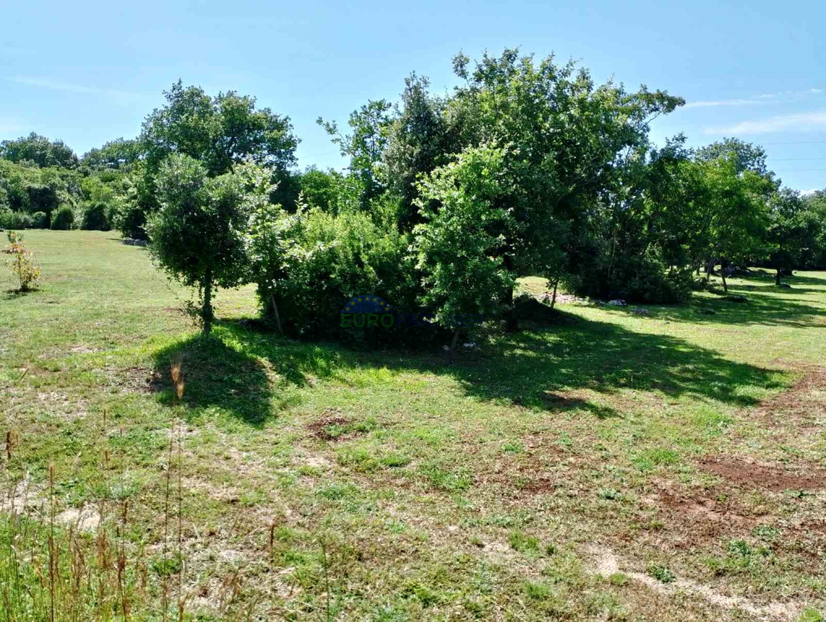 Istria, terreno agricolo vicino al centro di Rovigno