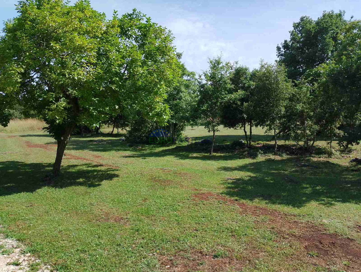 Istria, terreno agricolo vicino al centro di Rovigno