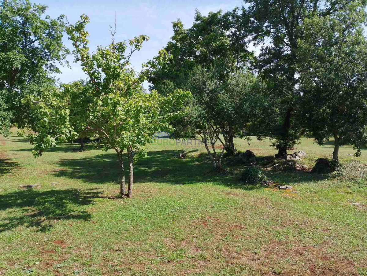 Istria, terreno agricolo vicino al centro di Rovigno