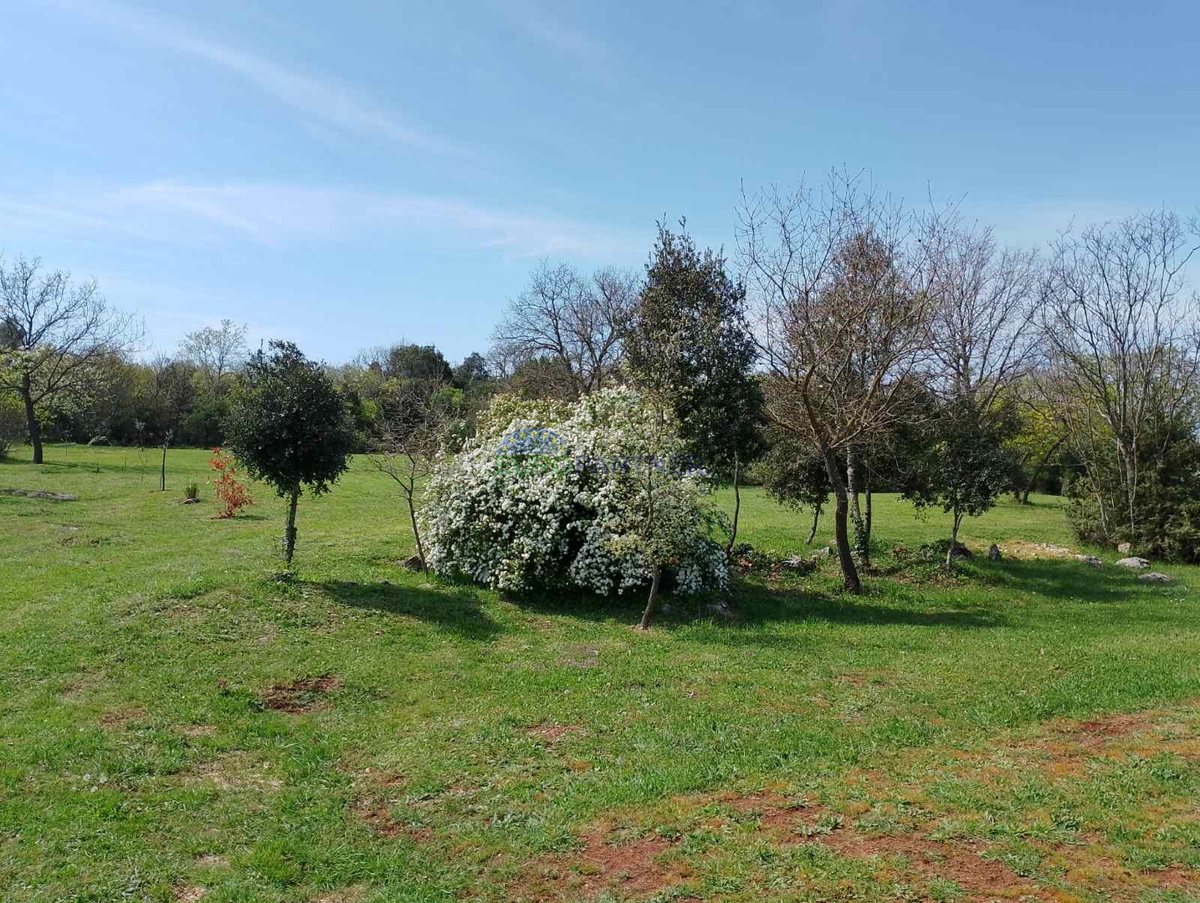 Istria, terreno agricolo vicino al centro di Rovigno