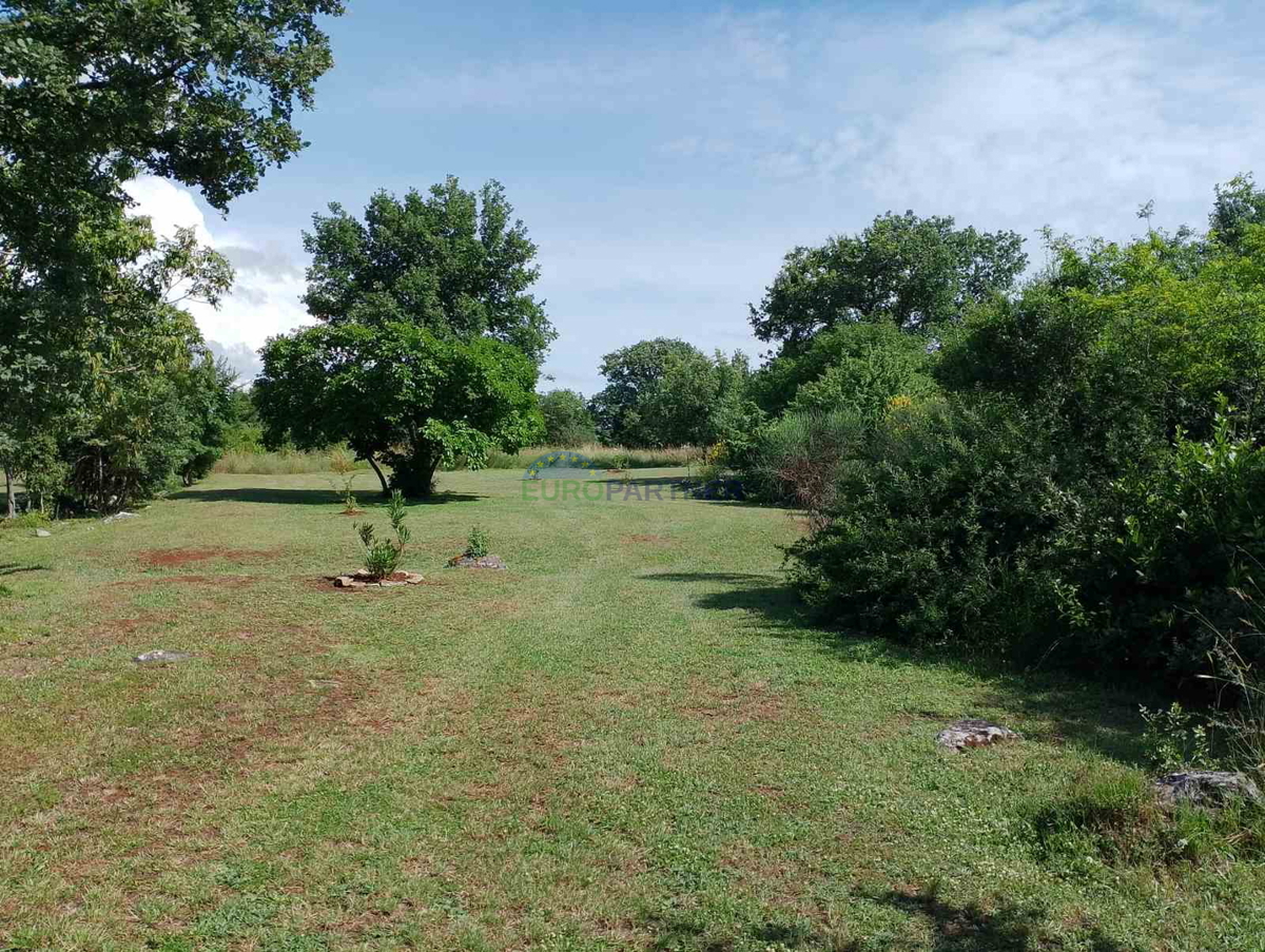 Istria, terreno agricolo vicino al centro di Rovigno