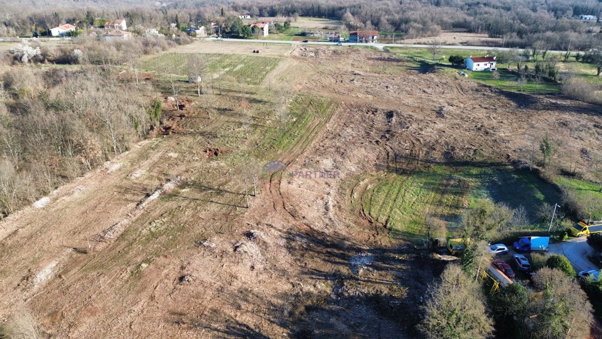 Terreno edificabile e agricolo, Kršan, Istria