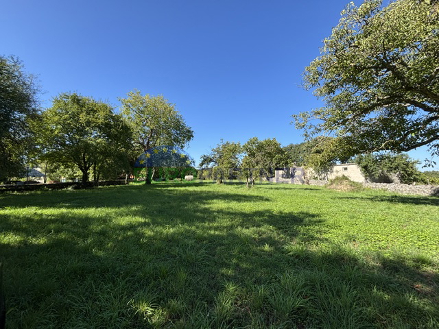 Istria, Žminj, terreno attrattivo di 50.000,00 m² con destinazione edificabile e agricola