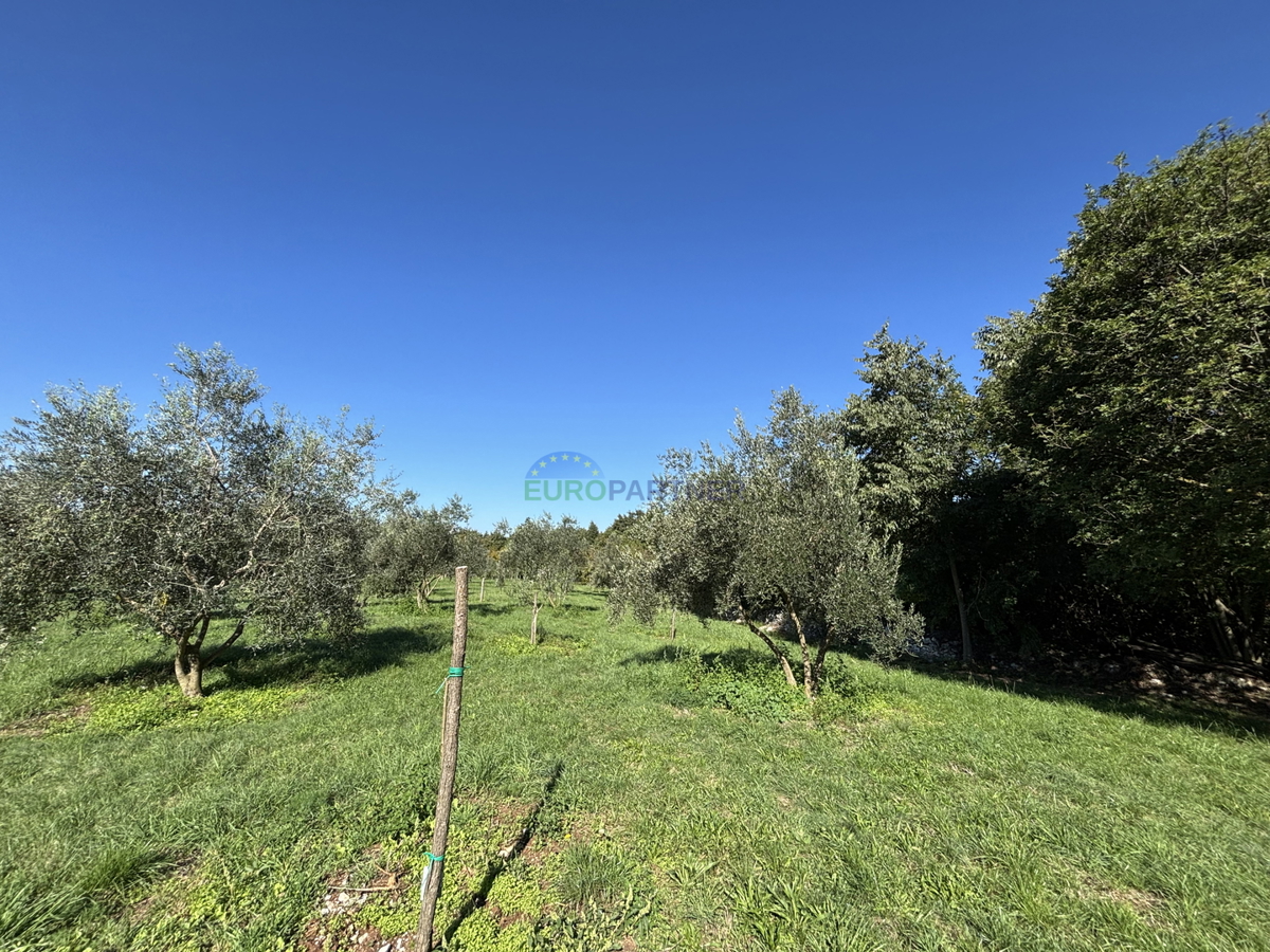 Istria, Žminj, terreno attrattivo di 50.000,00 m² con destinazione edificabile e agricola