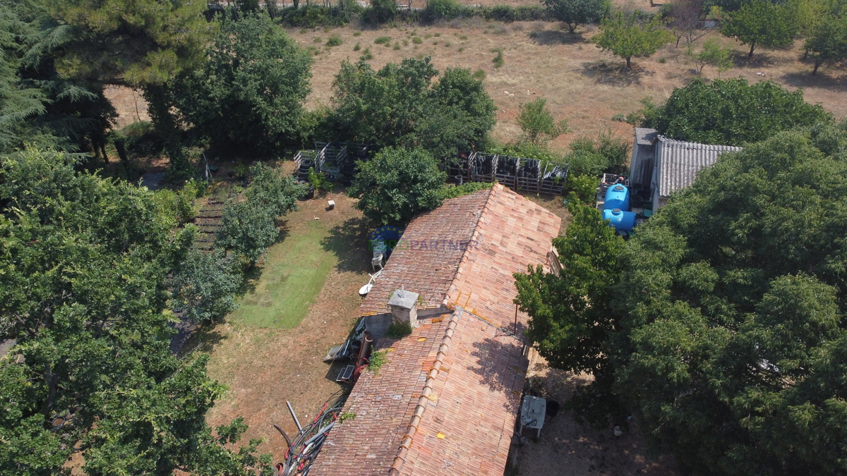 Terreno edificabile di 3000m2 con una casa da adattare, zona di Parenzo
