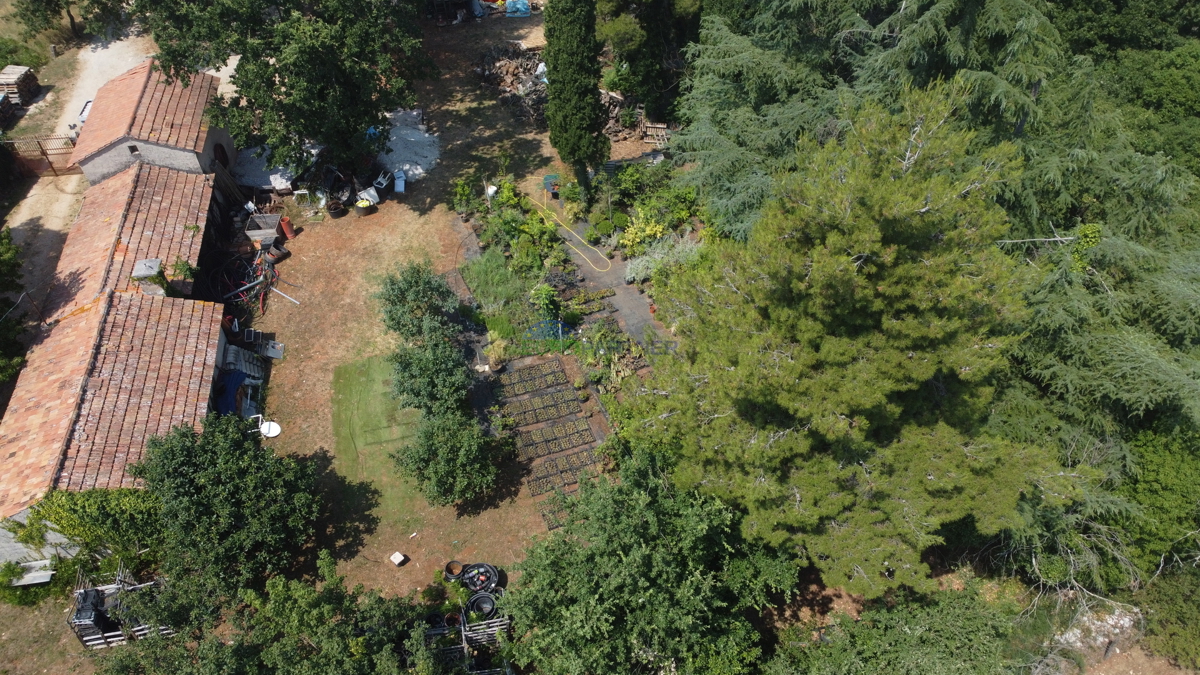Terreno edificabile di 3000m2 con una casa da adattare, zona di Parenzo