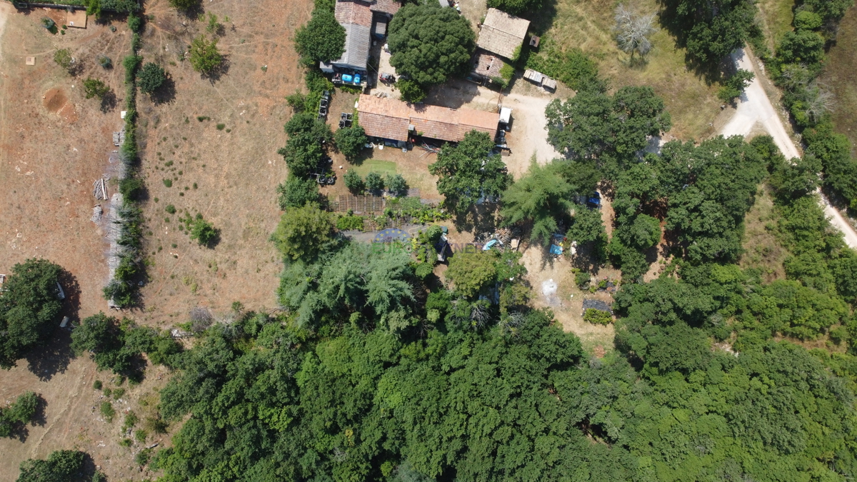 Terreno edificabile di 3000m2 con una casa da adattare, zona di Parenzo