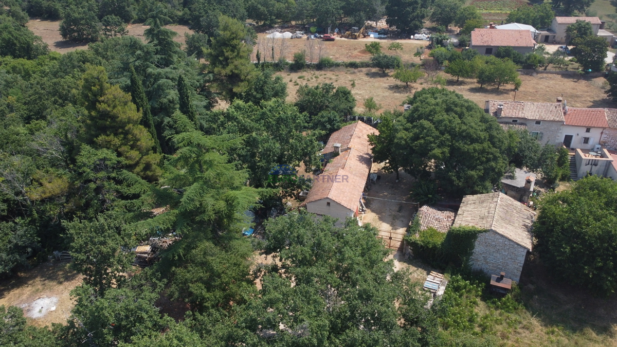 Terreno edificabile di 3000m2 con una casa da adattare, zona di Parenzo