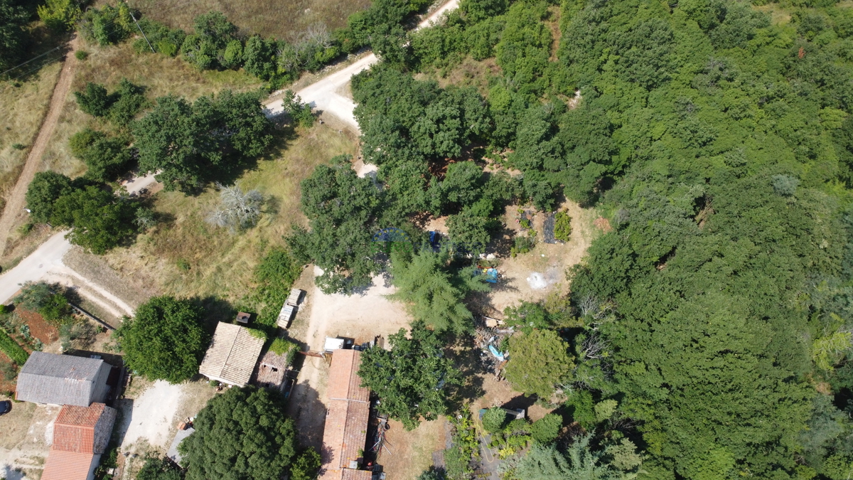 Terreno edificabile di 3000m2 con una casa da adattare, zona di Parenzo