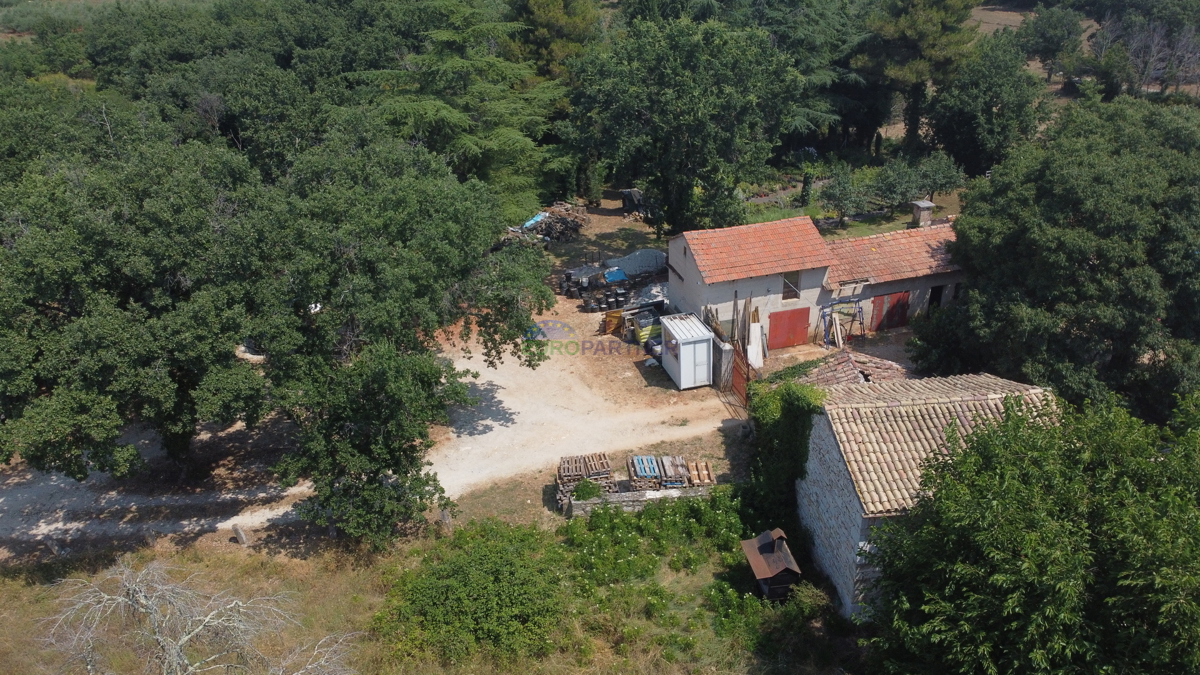 Terreno edificabile di 3000m2 con una casa da adattare, zona di Parenzo