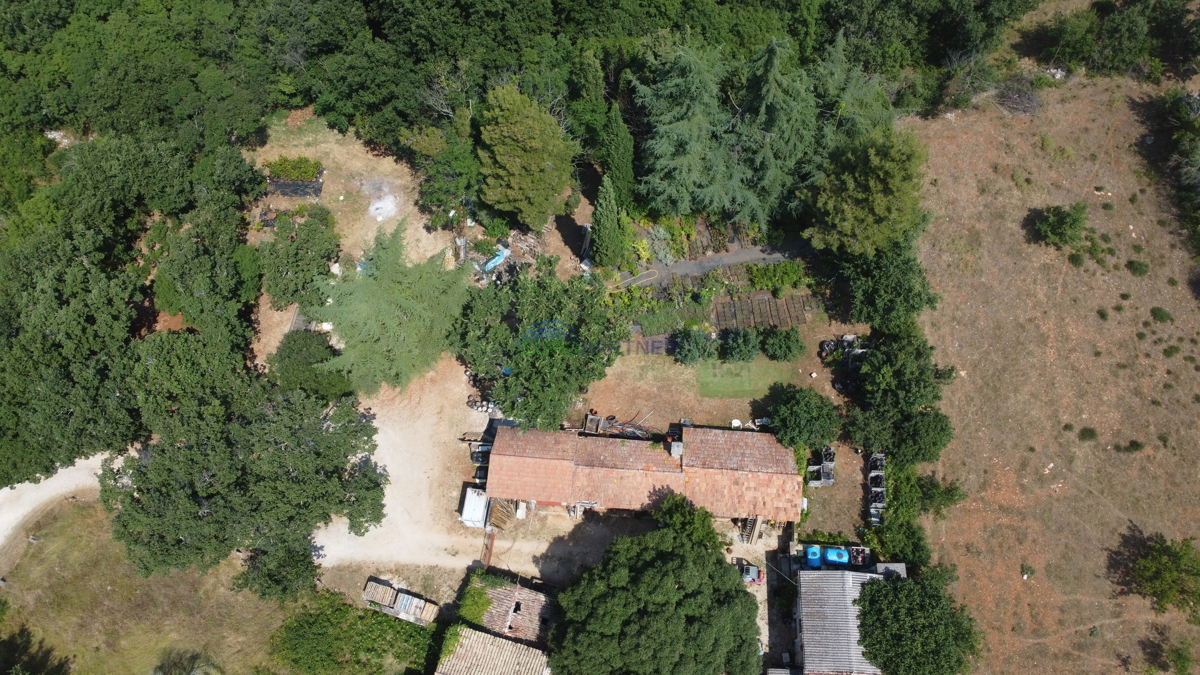 Terreno edificabile di 3000m2 con una casa da adattare, zona di Parenzo