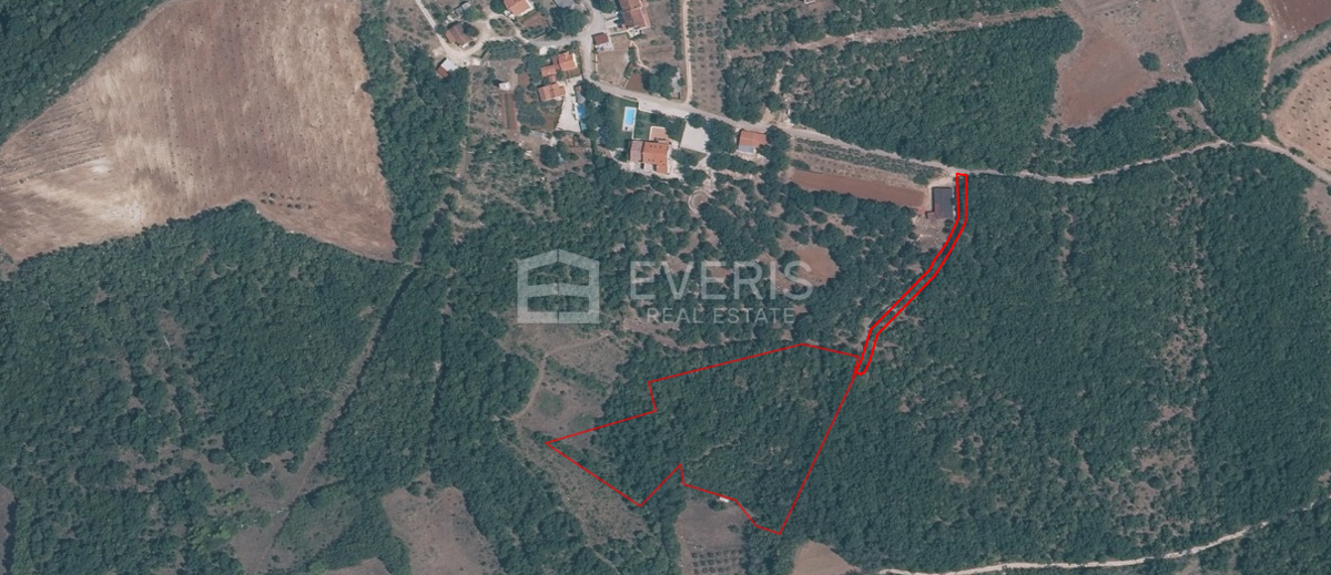 Jakići Dolinji, Sveti Lovreč, 13.530m2