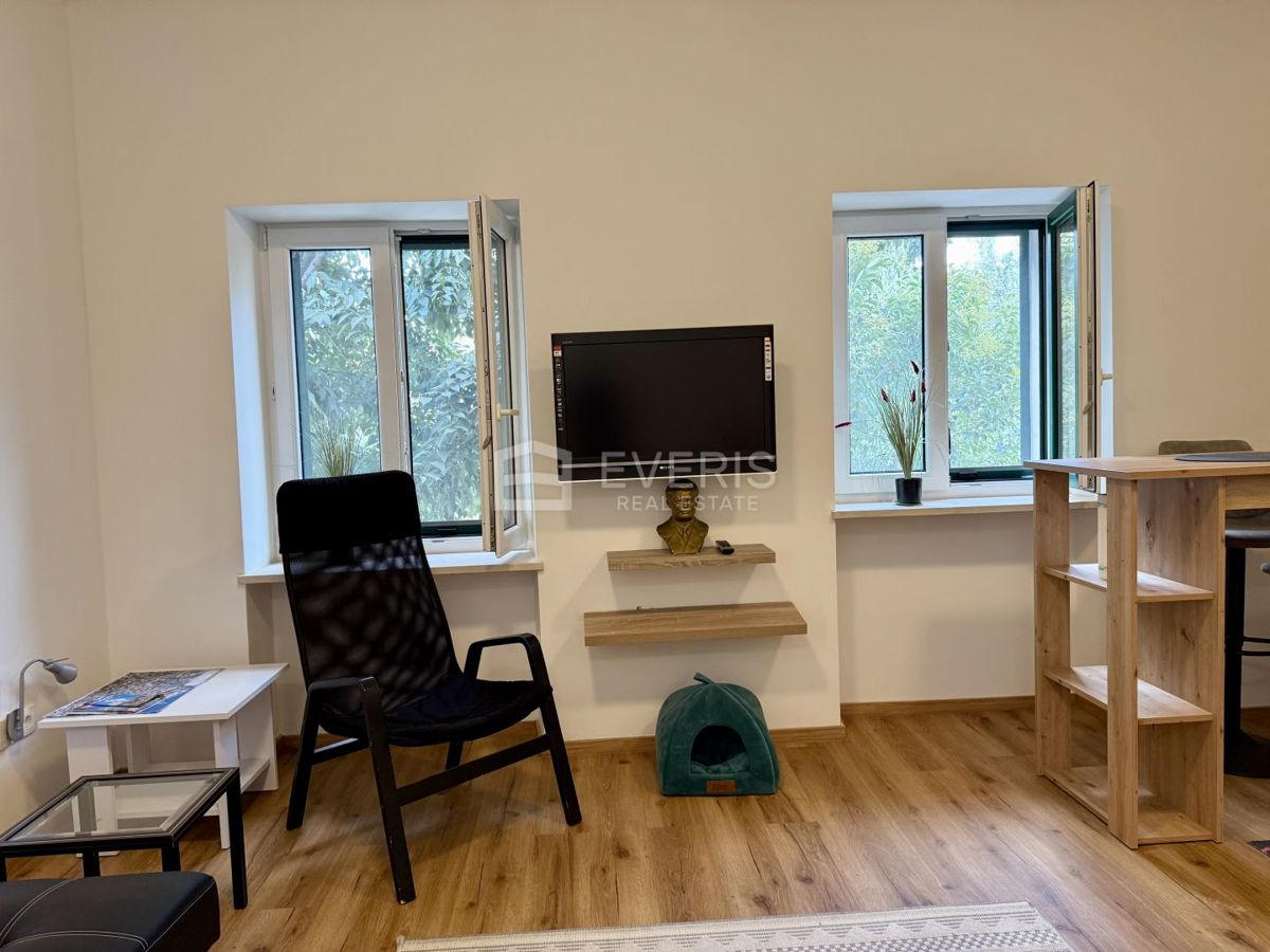 Centar, Rijeka, 100m2