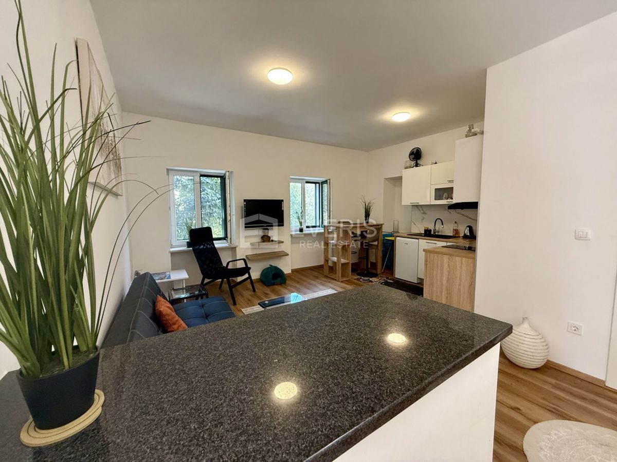 Centar, Rijeka, 100m2