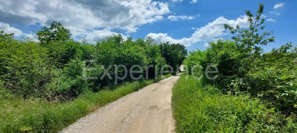 Terreno agricolo vicino a Baderna – posizione ideale vicino alla ZONA EDIFICABILE!