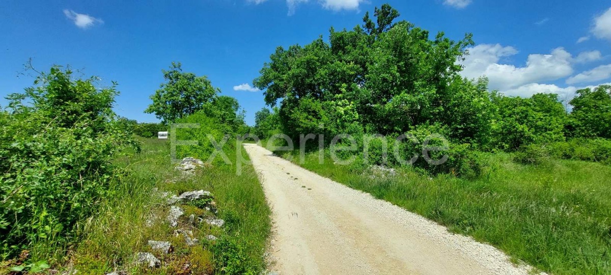 Terreno agricolo vicino a Baderna – posizione ideale vicino alla ZONA EDIFICABILE!