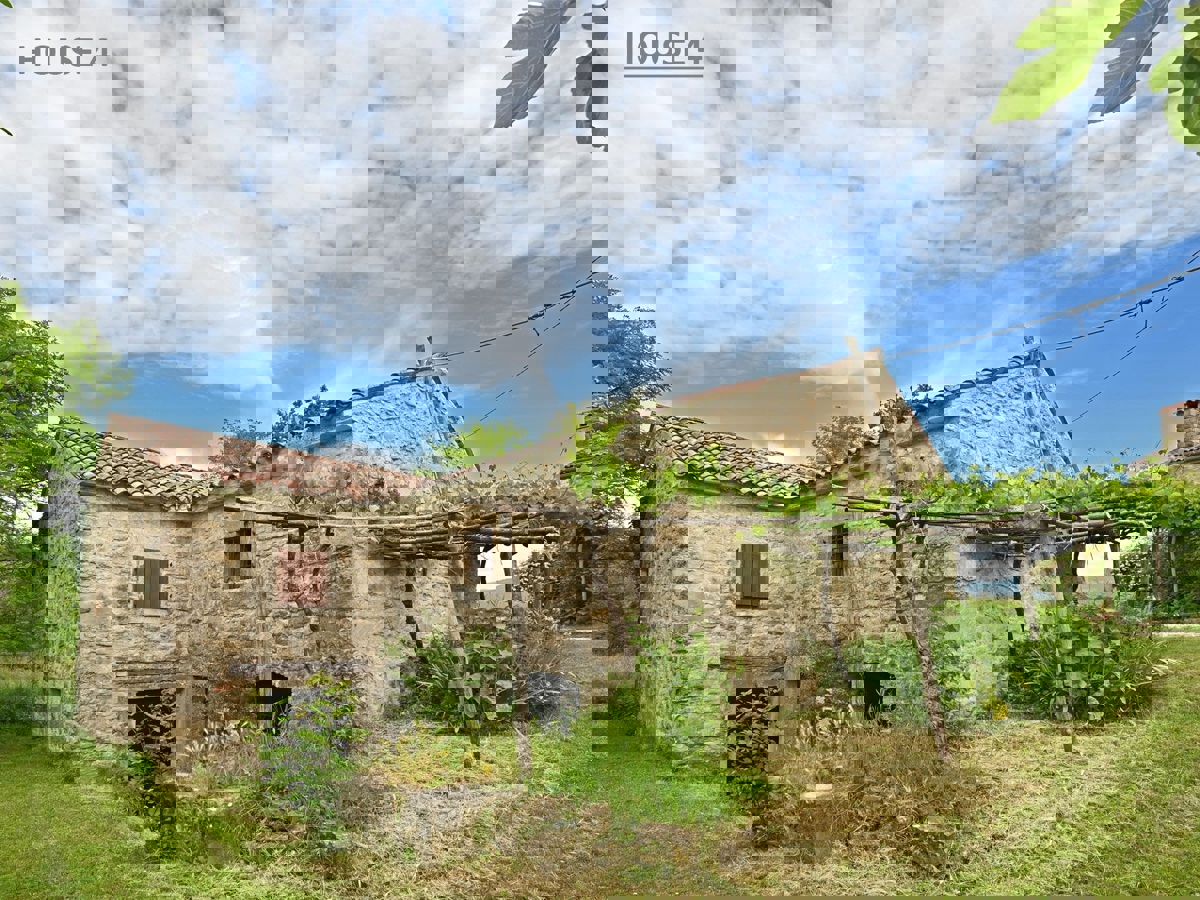 Un Villaggio Idilliaco Dove la Tradizione Incontra la Natura Incontaminata