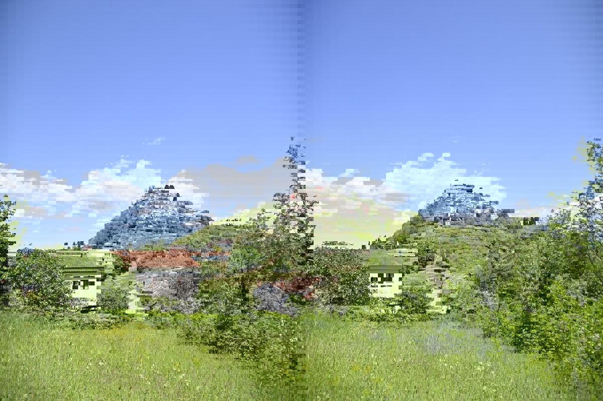 ISTRIA, Motovun - terreno edificabile, superficie di 952 m²