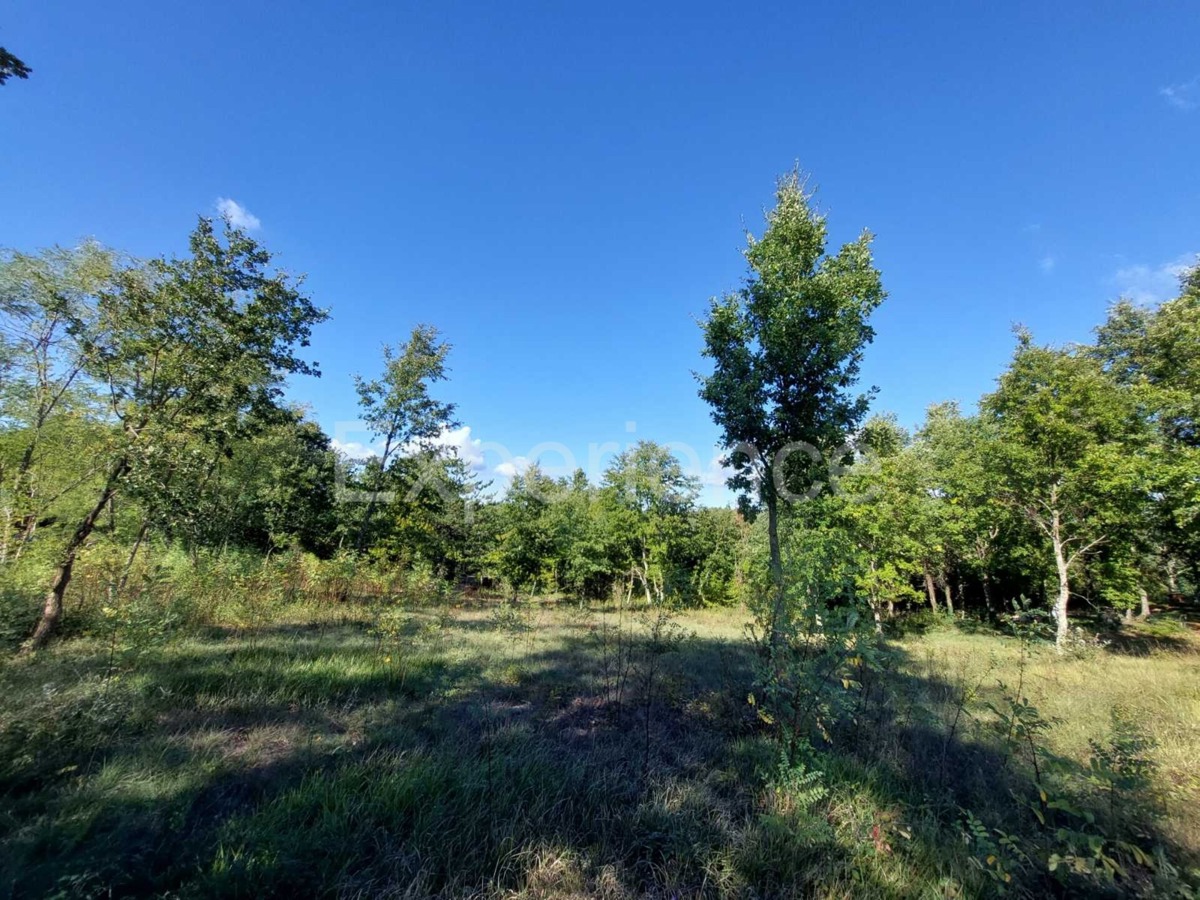 Nelle vicinanze di Visignano - terreno edificabile, superficie di 3.337 m²