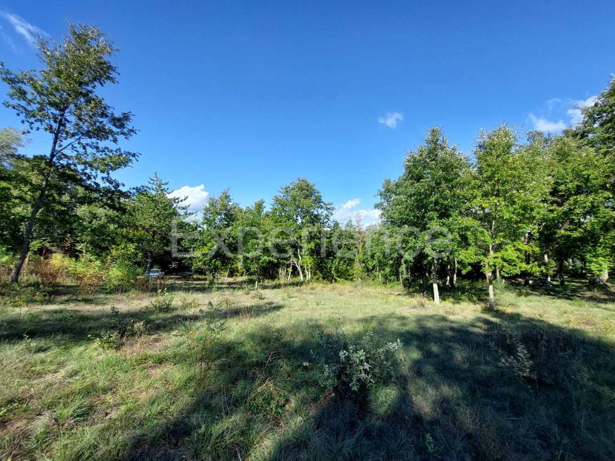 Nelle vicinanze di Visignano - terreno edificabile, superficie di 3.337 m²