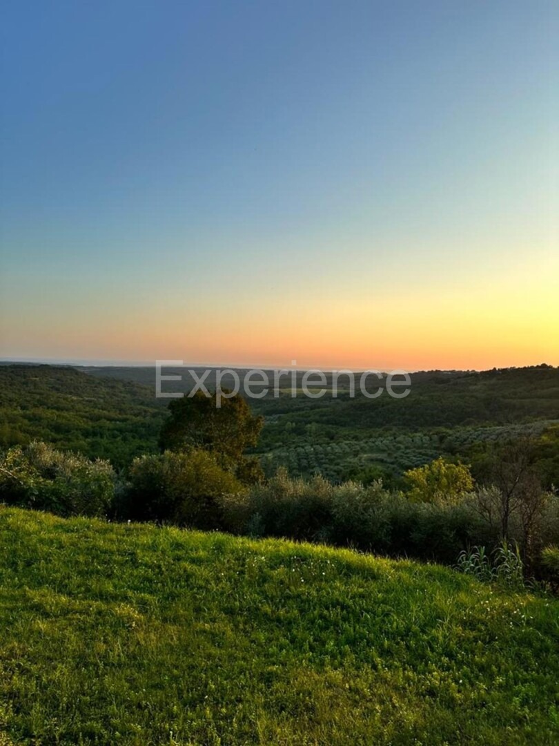 Nelle vicinanze di Buie, IN POSIZIONE ATTRAENTE - uliveto, superficie 16.141 m²