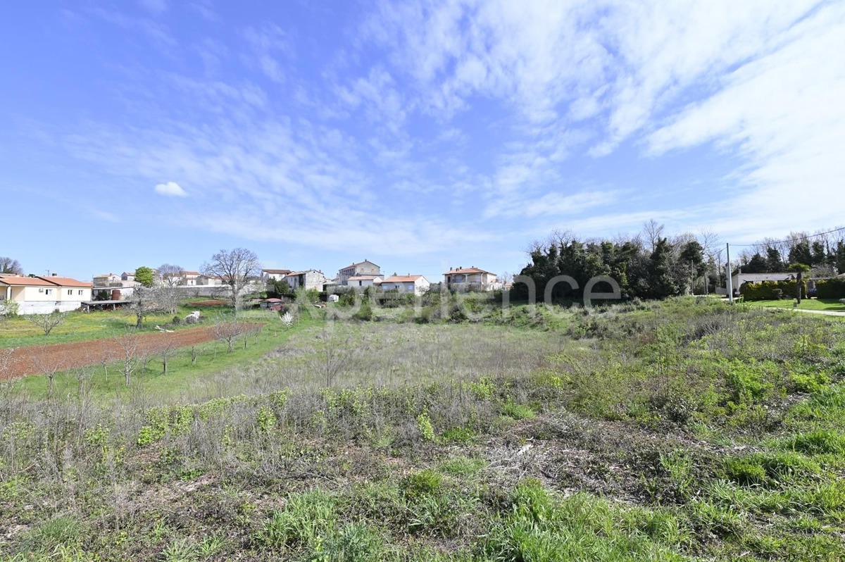 Kaštelir - terreno edificabile, superficie di 3.124 m²!