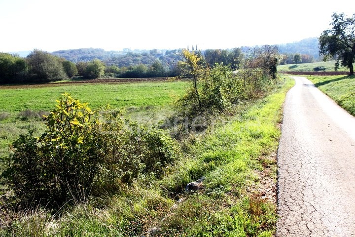 Zona di Montona: terreno agricolo ai margini dell'AREA EDIFICABILE