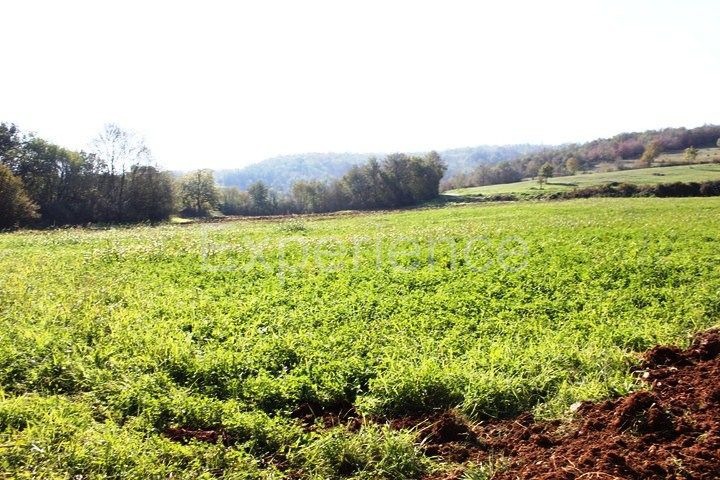 Zona di Montona: terreno agricolo ai margini dell'AREA EDIFICABILE