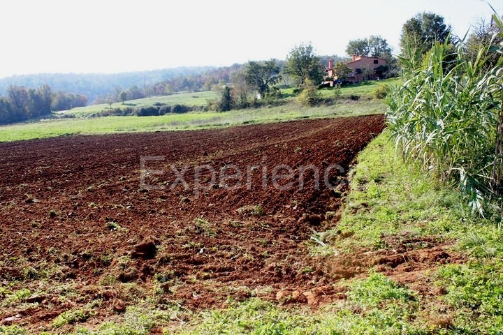 Zona di Montona: terreno agricolo ai margini dell'AREA EDIFICABILE