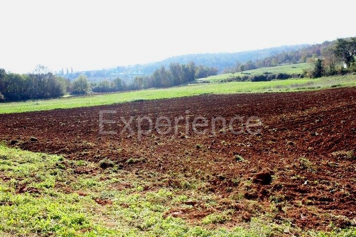 Zona di Montona: terreno agricolo ai margini dell'AREA EDIFICABILE