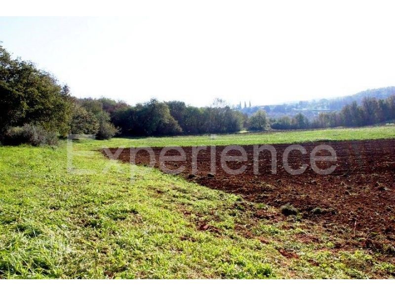 Zona di Montona: terreno agricolo ai margini dell'AREA EDIFICABILE