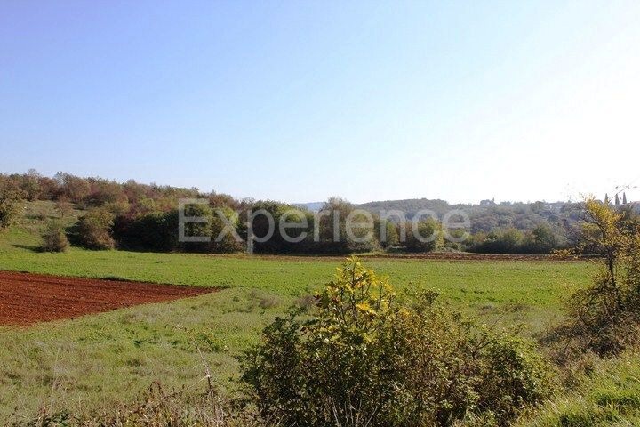 Zona di Montona: terreno agricolo ai margini dell'AREA EDIFICABILE