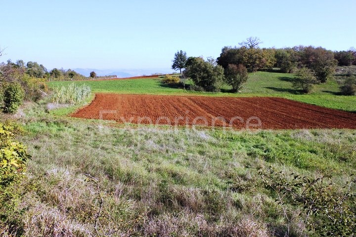 Zona di Montona: terreno agricolo ai margini dell'AREA EDIFICABILE