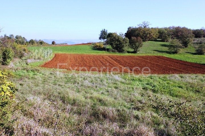 Zona di Montona: terreno agricolo ai margini dell'AREA EDIFICABILE