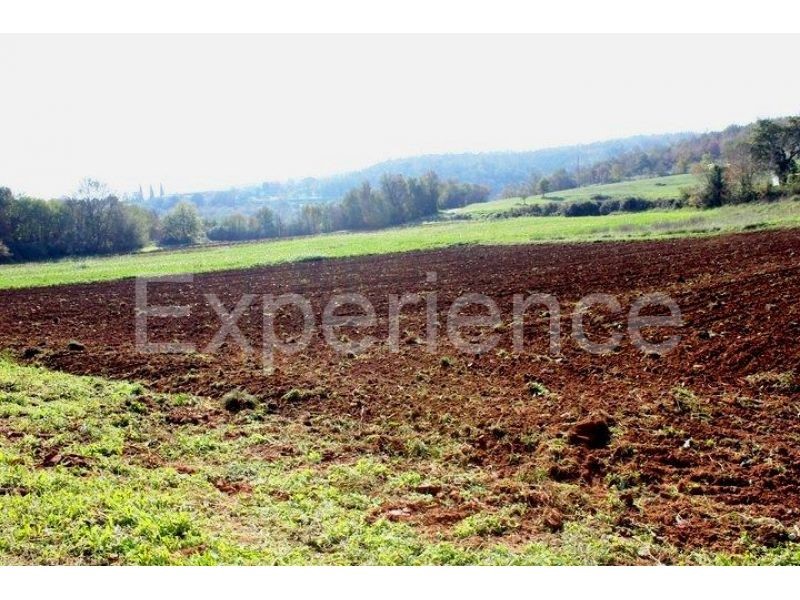 Zona di Montona: terreno agricolo ai margini dell'AREA EDIFICABILE