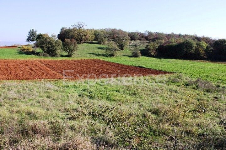 Zona di Montona: terreno agricolo ai margini dell'AREA EDIFICABILE
