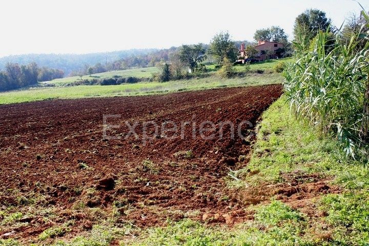 Zona di Montona: terreno agricolo ai margini dell'AREA EDIFICABILE